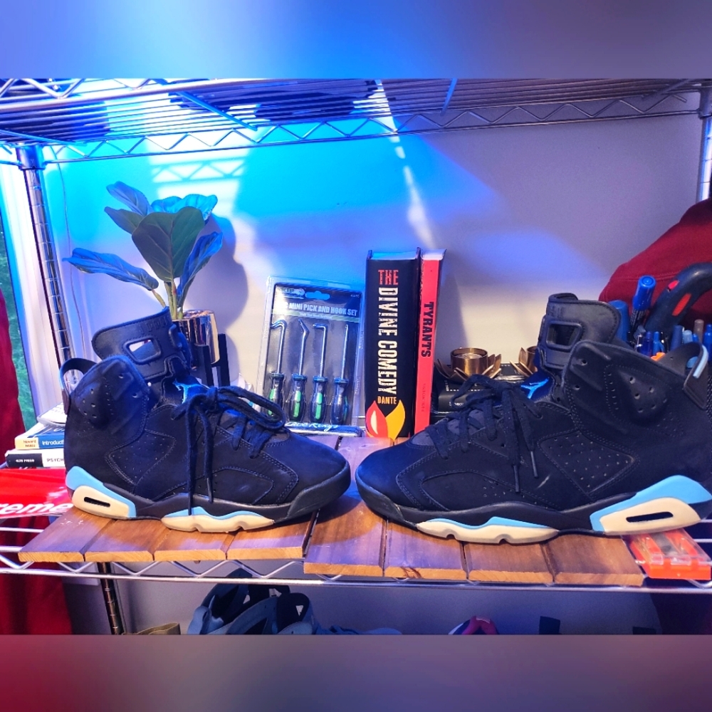 Air Jordan Retro 6 M 10.5 UNC